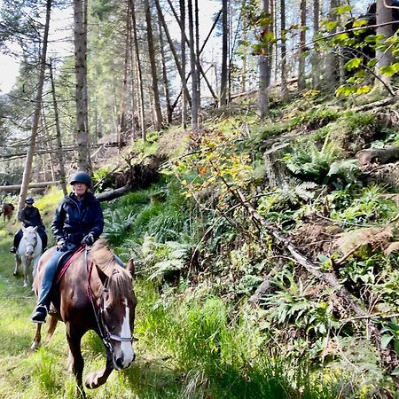Scottish Equi B&B ลานาร์ก ภายนอก รูปภาพ