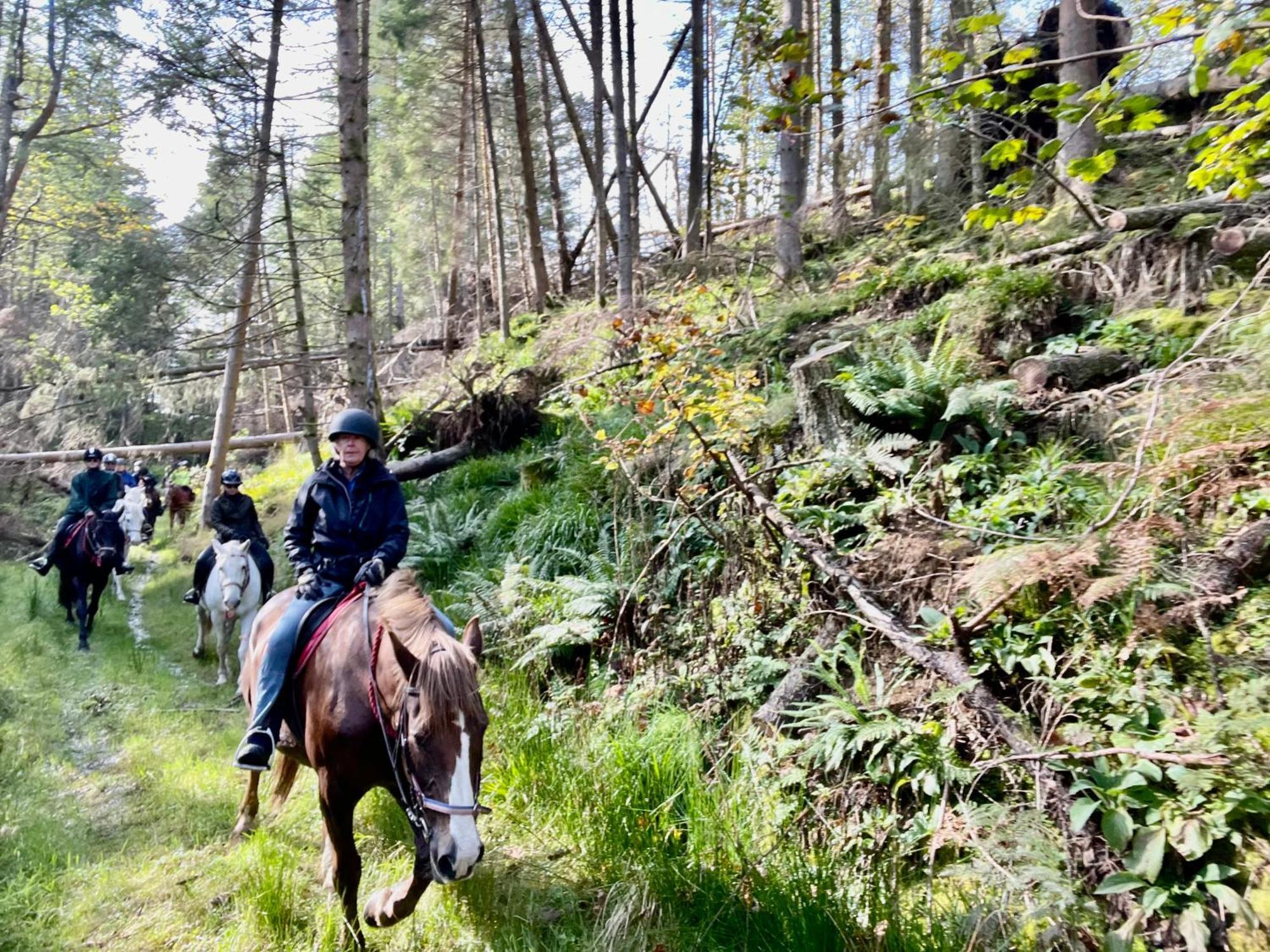 Scottish Equi B&B ลานาร์ก ภายนอก รูปภาพ